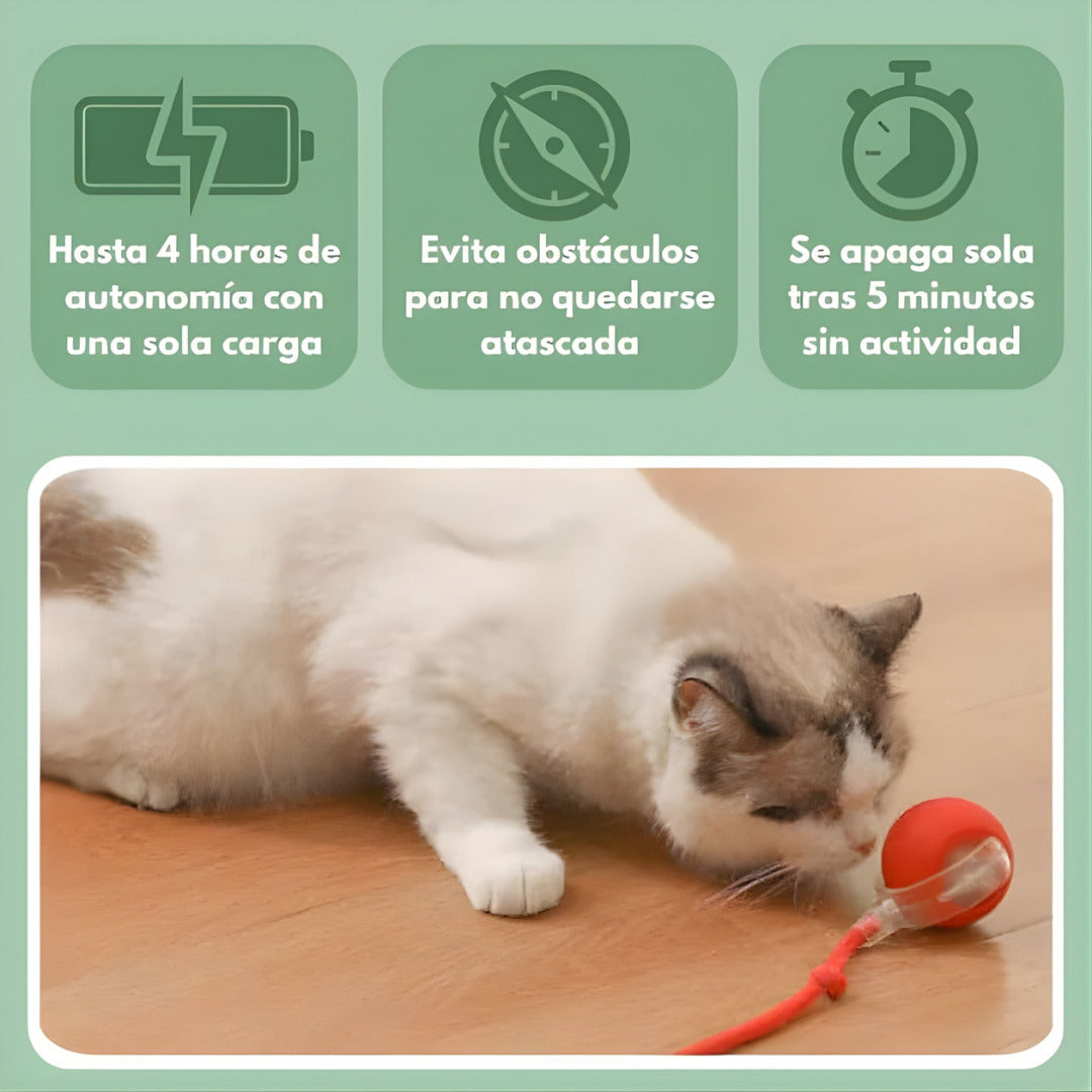 PetRunner: Diversión interactiva para tu mascota