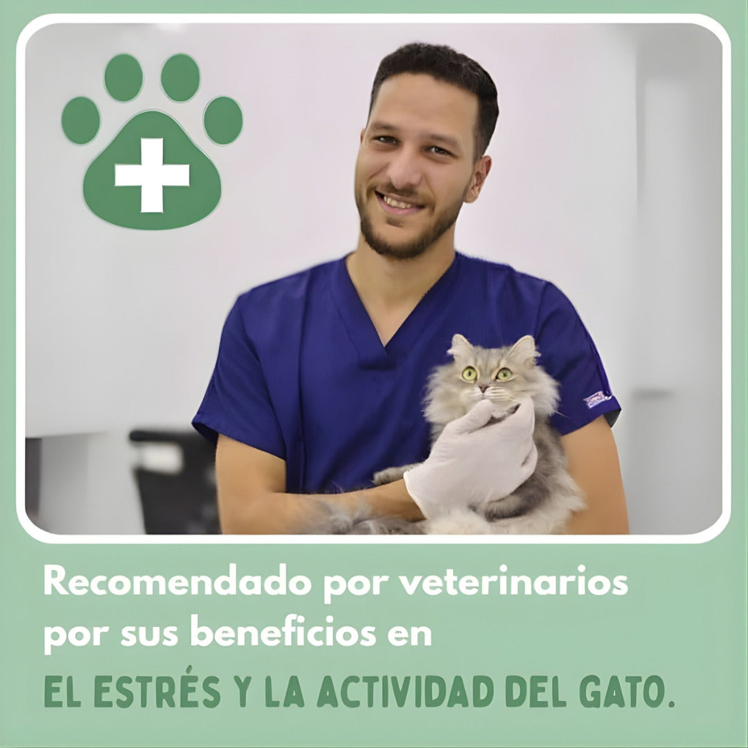 PetRunner: Diversión interactiva para tu mascota