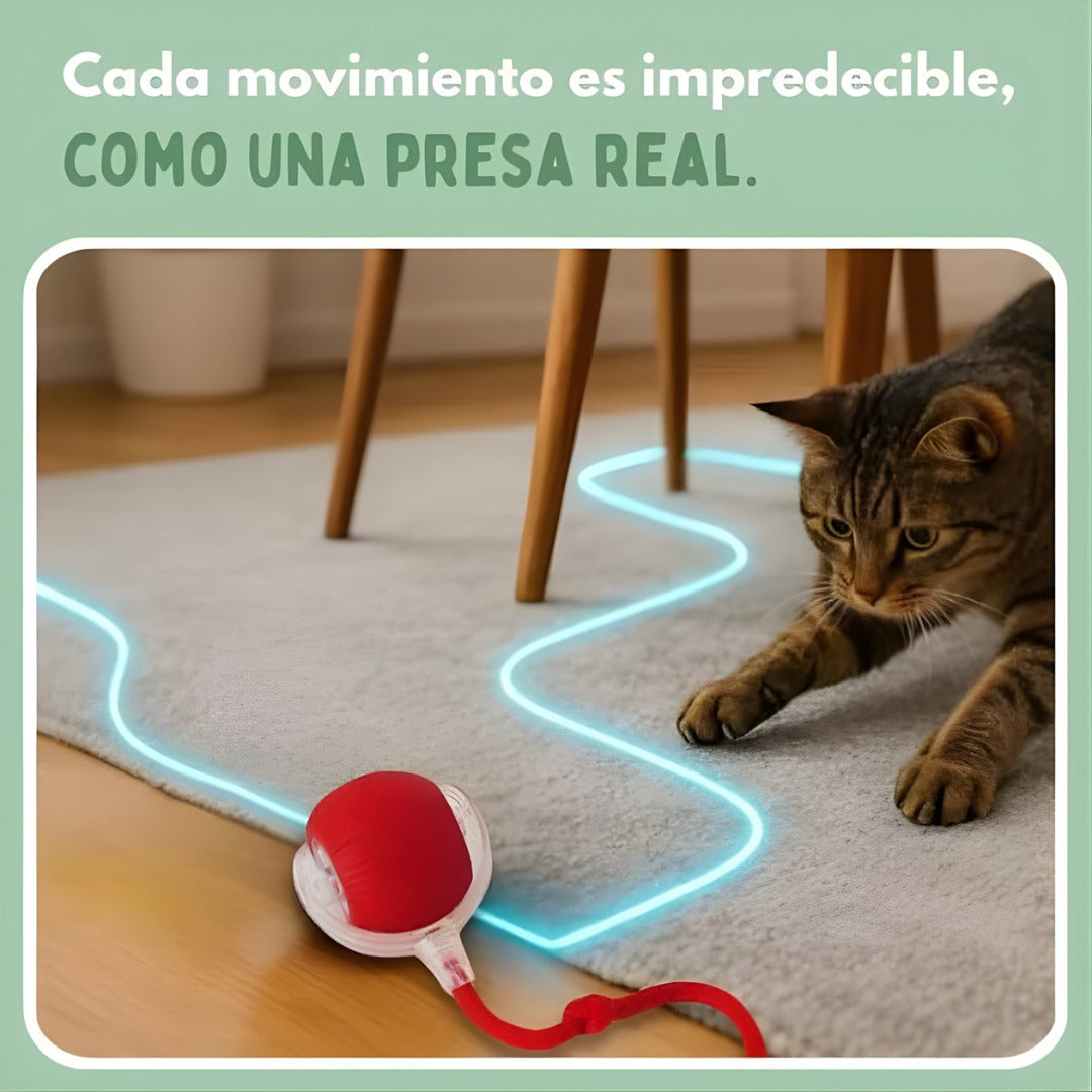 PetRunner: Diversión interactiva para tu mascota