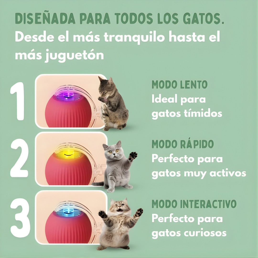 PetRunner: Diversión interactiva para tu mascota