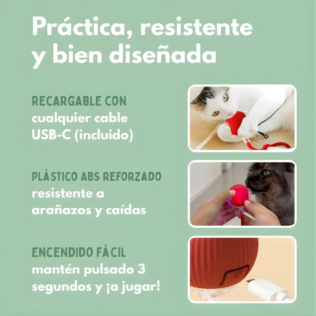 PetRunner: Diversión interactiva para tu mascota