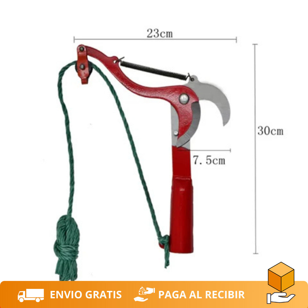 Encabezado