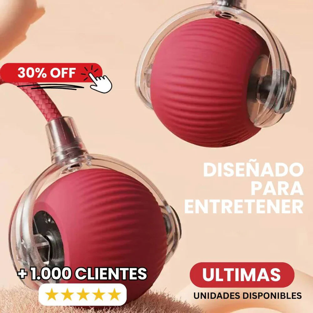 PetRunner: Diversión interactiva para tu mascota
