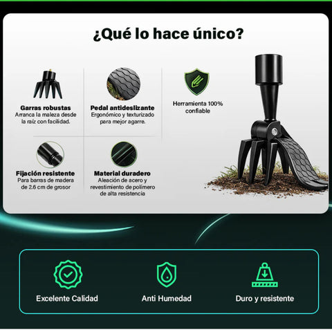 Producto