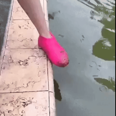 Encabezado