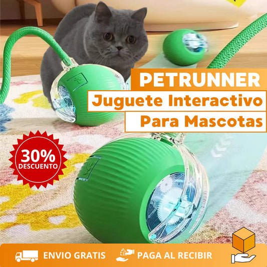 PetRunner: Diversión interactiva para tu mascota